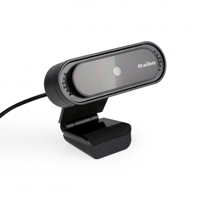 DL2 高清隨插即用 USB視訊網路攝影機(內建麥克風)